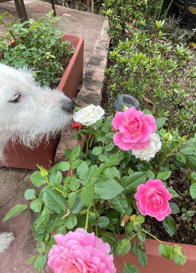 Pousada Tarumim Vale do Capao Dış mekan fotoğraf